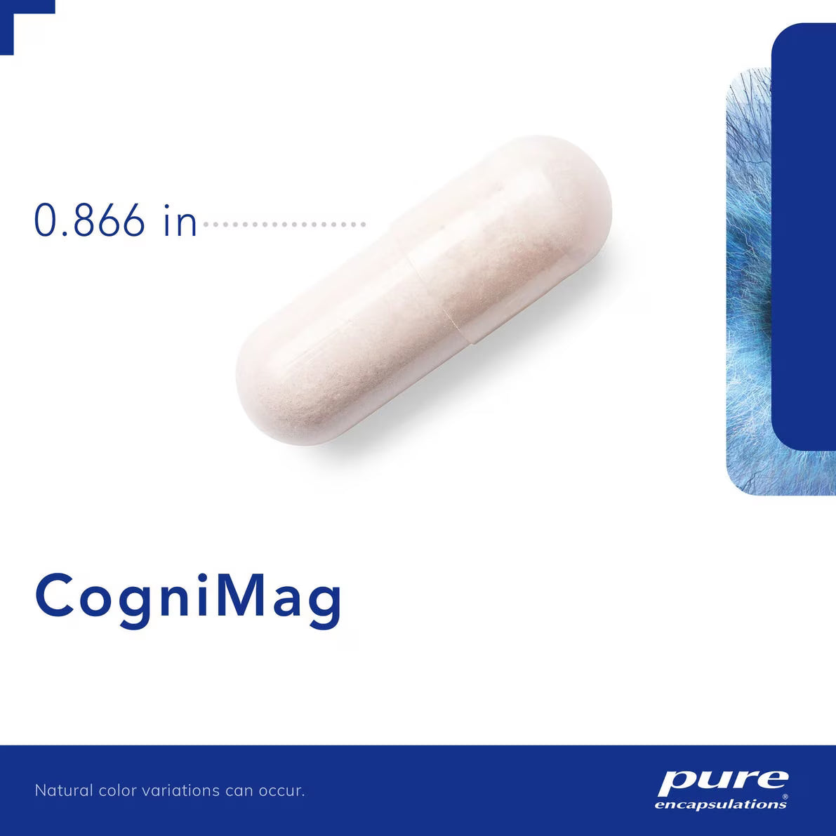 CogniMag 120's