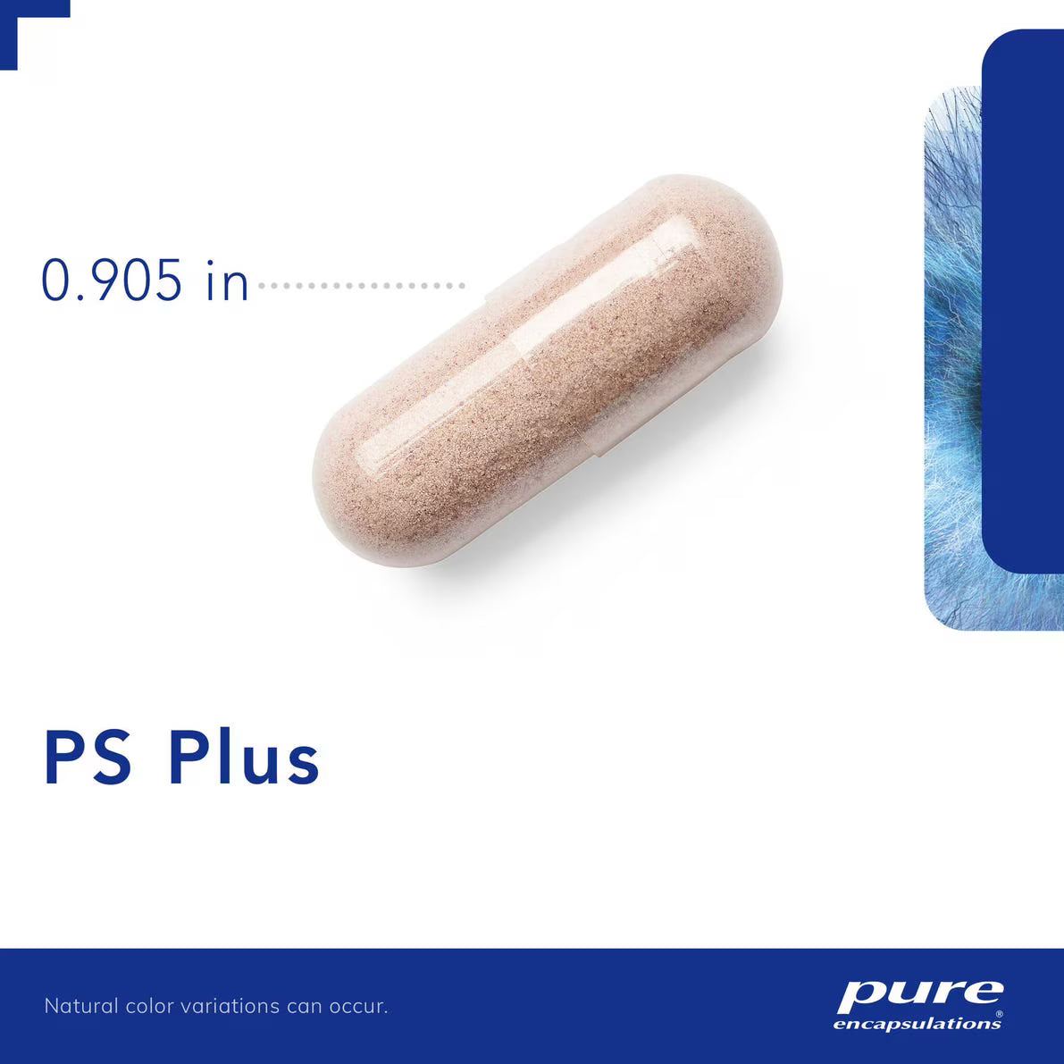 PS Plus 60's