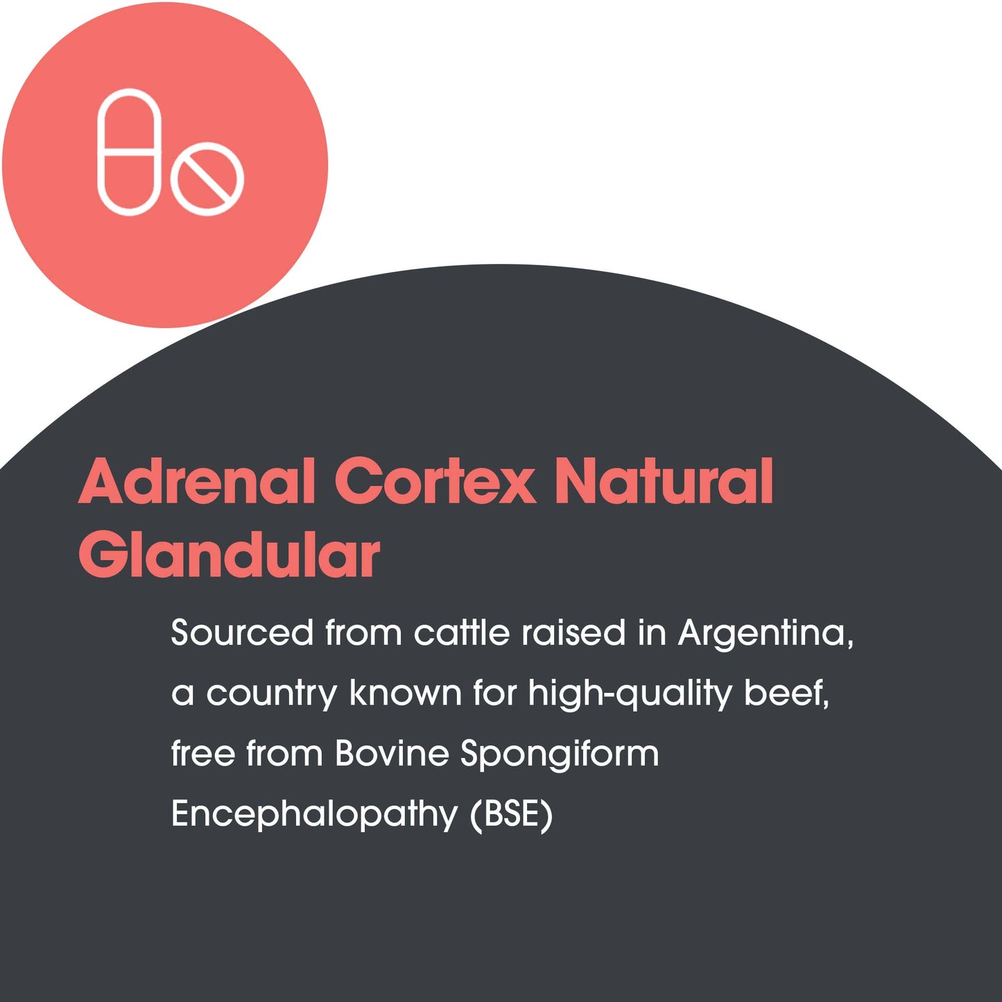 Adrenal Cortex – suggested use: 1 capsule daily with food