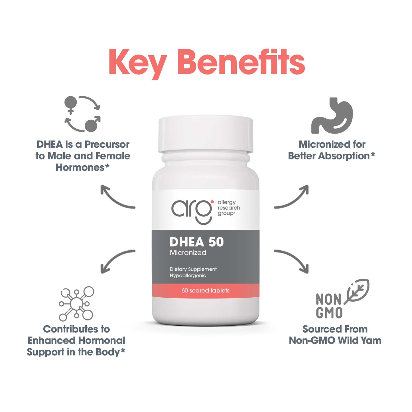 DHEA 50 mg - key benefits including enhanced hormonal support in the body