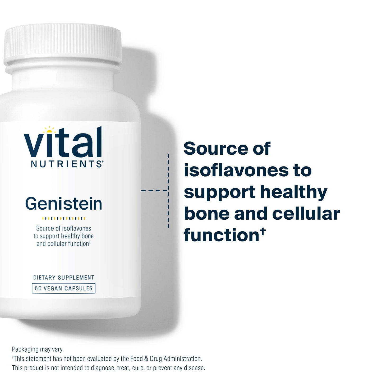 Vital Nutrients Genistein dietary supplement is a source of isoflavones to support healthy bone and cellular function.*