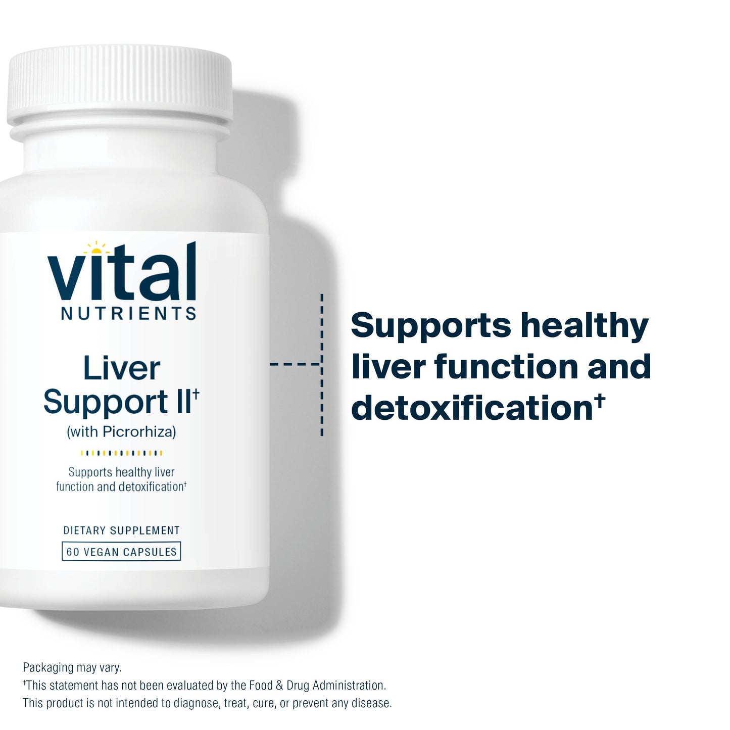 Vital Nutrients Liver Support II supports healthy liver function and detoxification.*