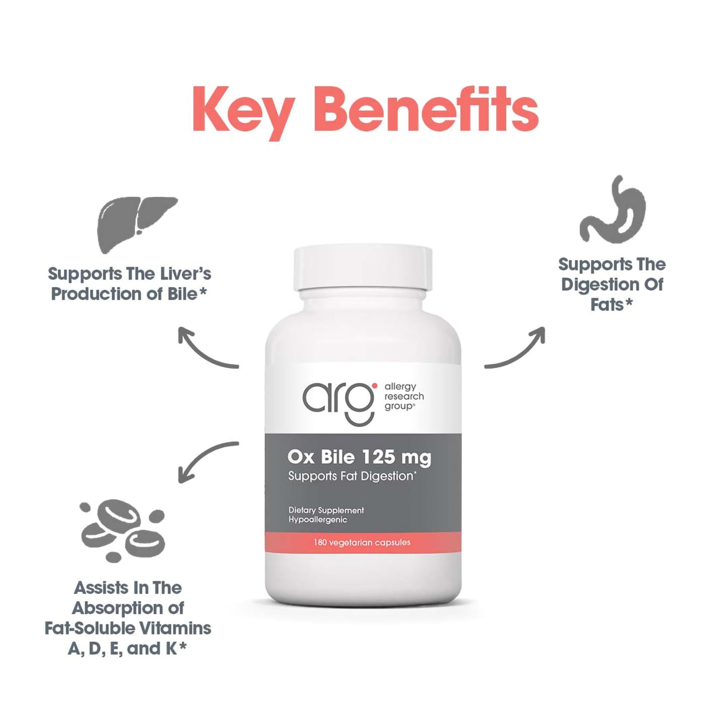 Ox Bile 125 mg - suggested use: 1 capsule three times daily with meals containing fat