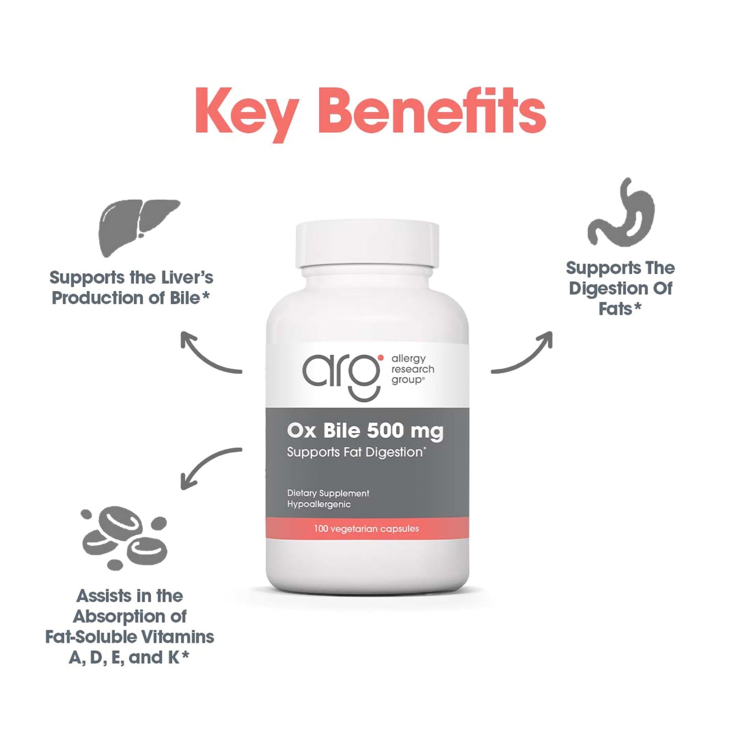 Suggested Use instructions with Ox Bile 500 mg bottle used to aid fat digestion