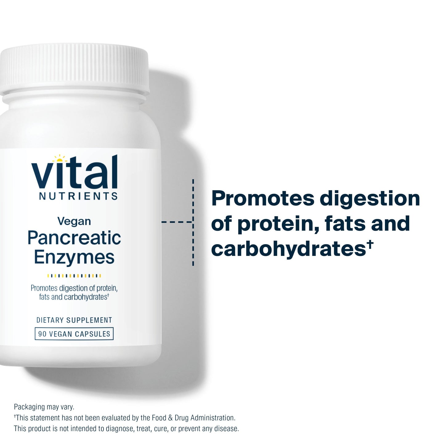 Vital Nutrients Vegan Pancreatic Enzymes promote the digestion of protein, fats and carbohydrates.*