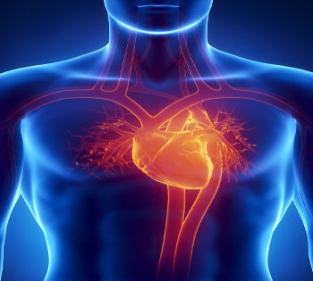 Are You Taking the Right Form of CoQ10?