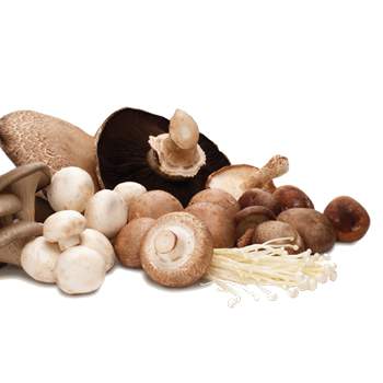 The Immune-Boosting Power of Mushrooms