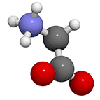 Amino Acids