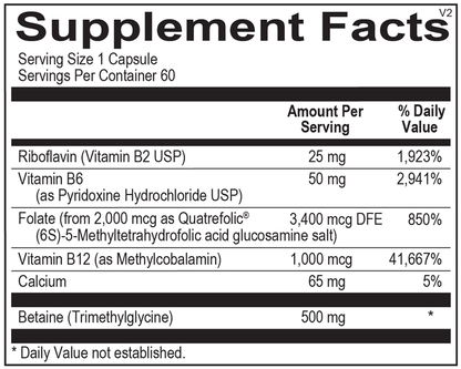 Methyl CpG® supplement facts image