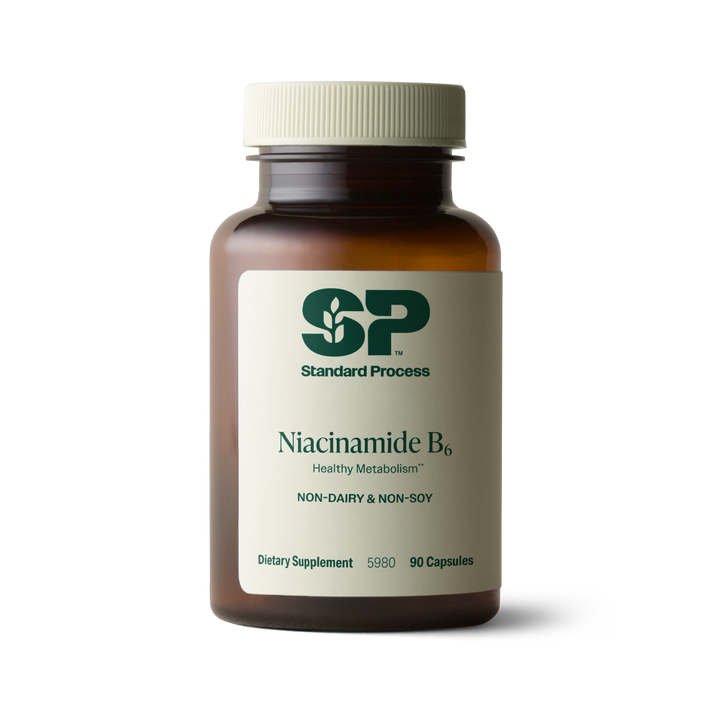 Niacinamide B6, 90 Capsules