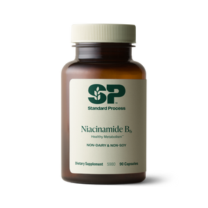 Niacinamide B6, 90 Capsules