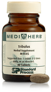 Tribulus, 40 Tablets