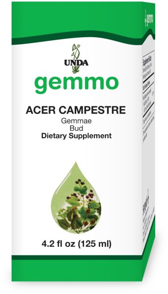 16310-125U | Acer Campestre