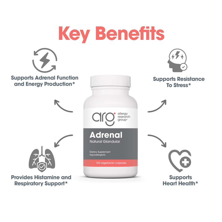Adrenal – suggested use: 1 capsule daily with food
