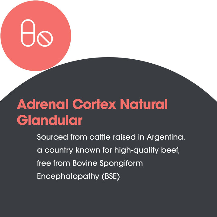 Adrenal Cortex – suggested use: 1 capsule daily with food