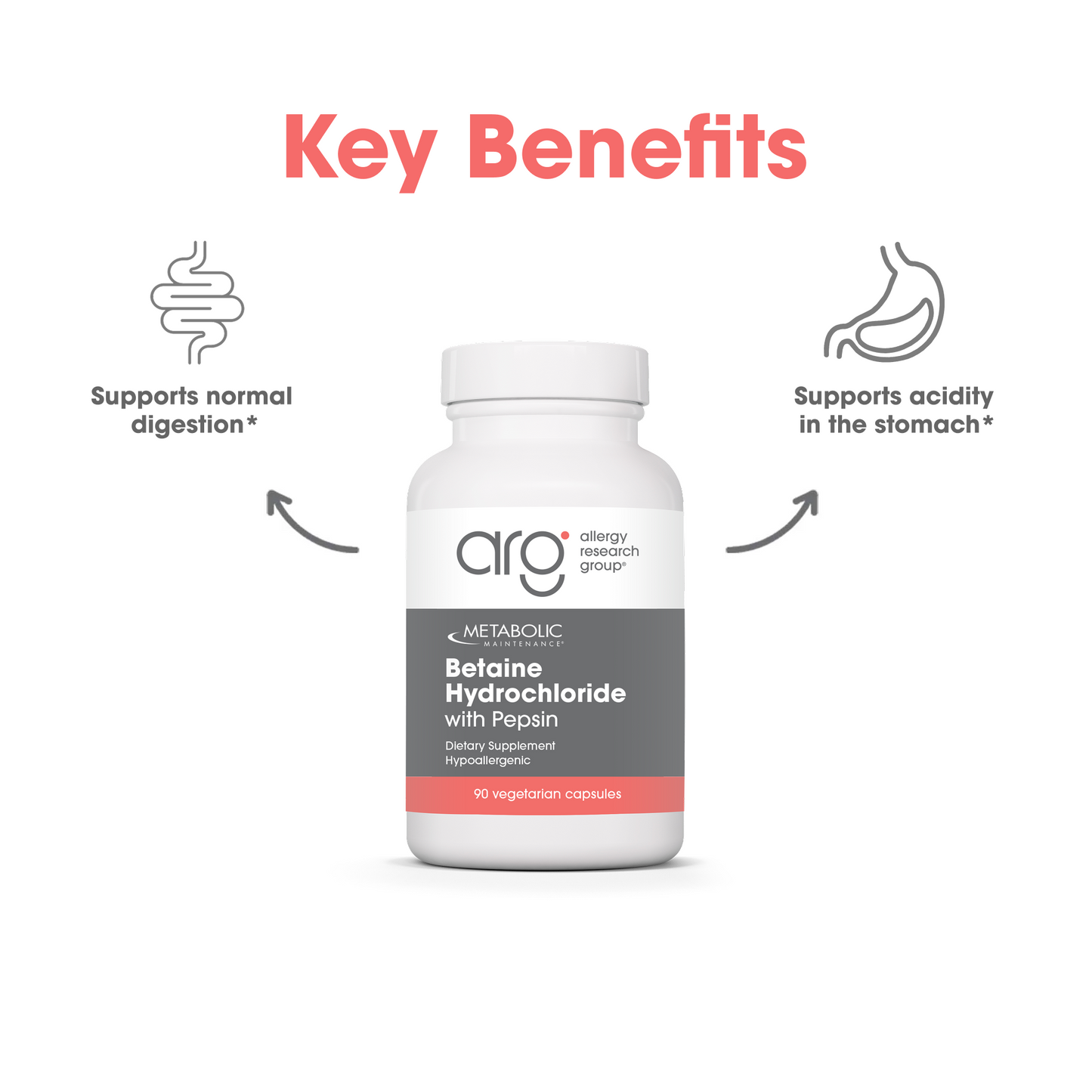 Suggested Use section with take one capsule daily with a meal beside the Metabolic Maintenance bottle.