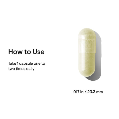 Broccoli Seed Extract 3