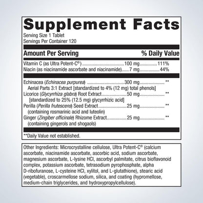 Echinacea Synergy™