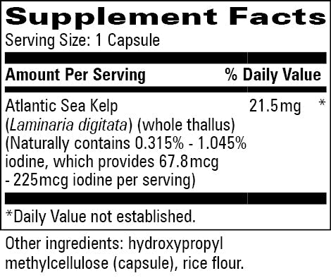 Kelp