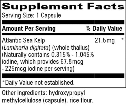 Kelp