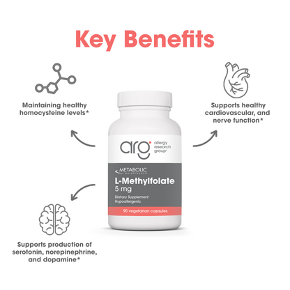 Suggested Use graphic with Take one capsule daily text and the L-Methylfolate bottle on a light background.