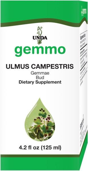 16720-125U | Ulmus Campestris