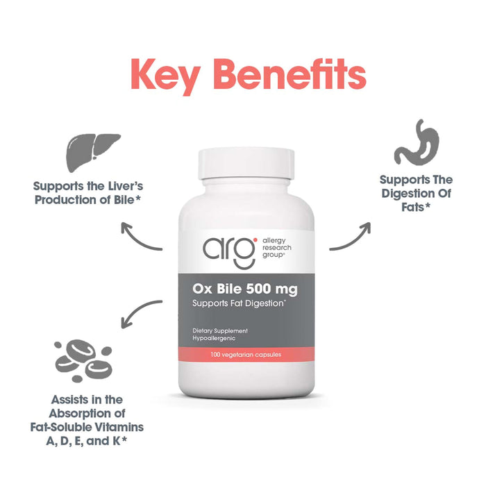Suggested Use instructions with Ox Bile 500 mg bottle used to aid fat digestion