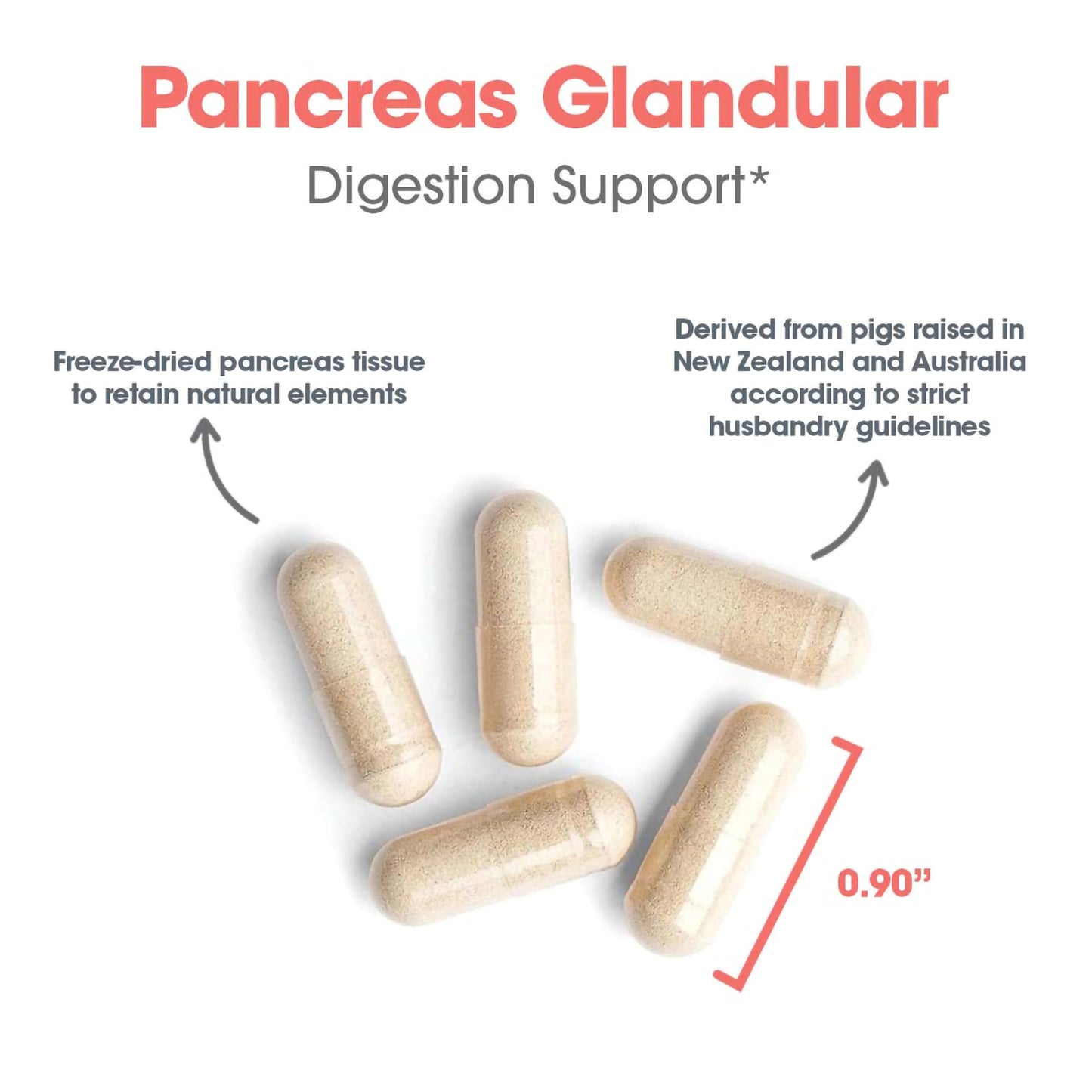 Pancreas Pork - suggested use: 1 capsule three times daily taken 30-60 minutes before each meal