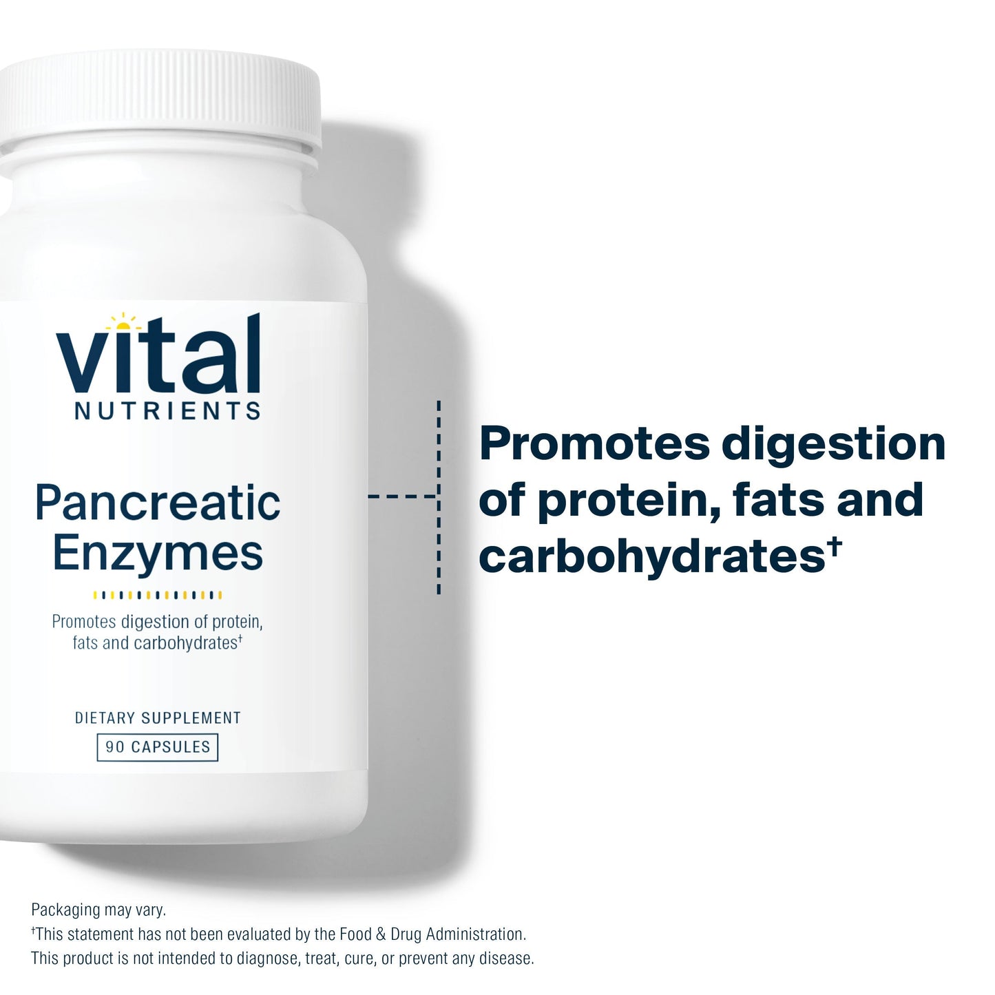 Pancreatic Enzymes