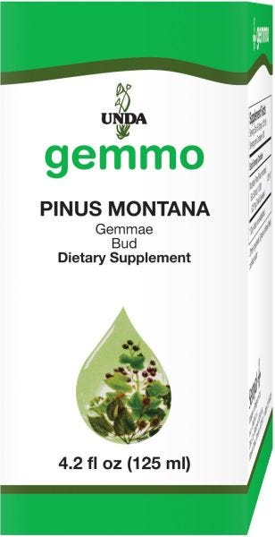 16560-125U | Pinus Montana
