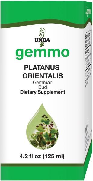16570-125U | Platanus Orientalis