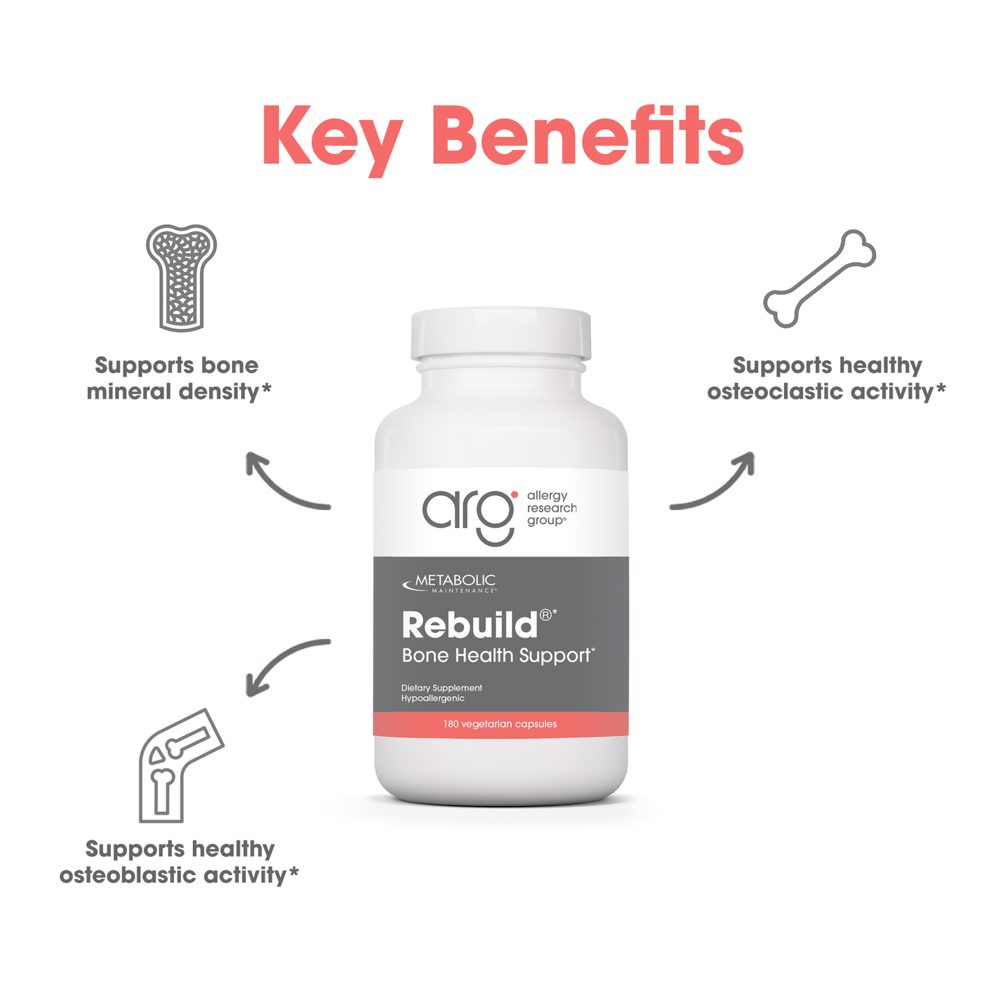 Suggested Use marketing layout with Rebuild bottle on a curved blue backdrop