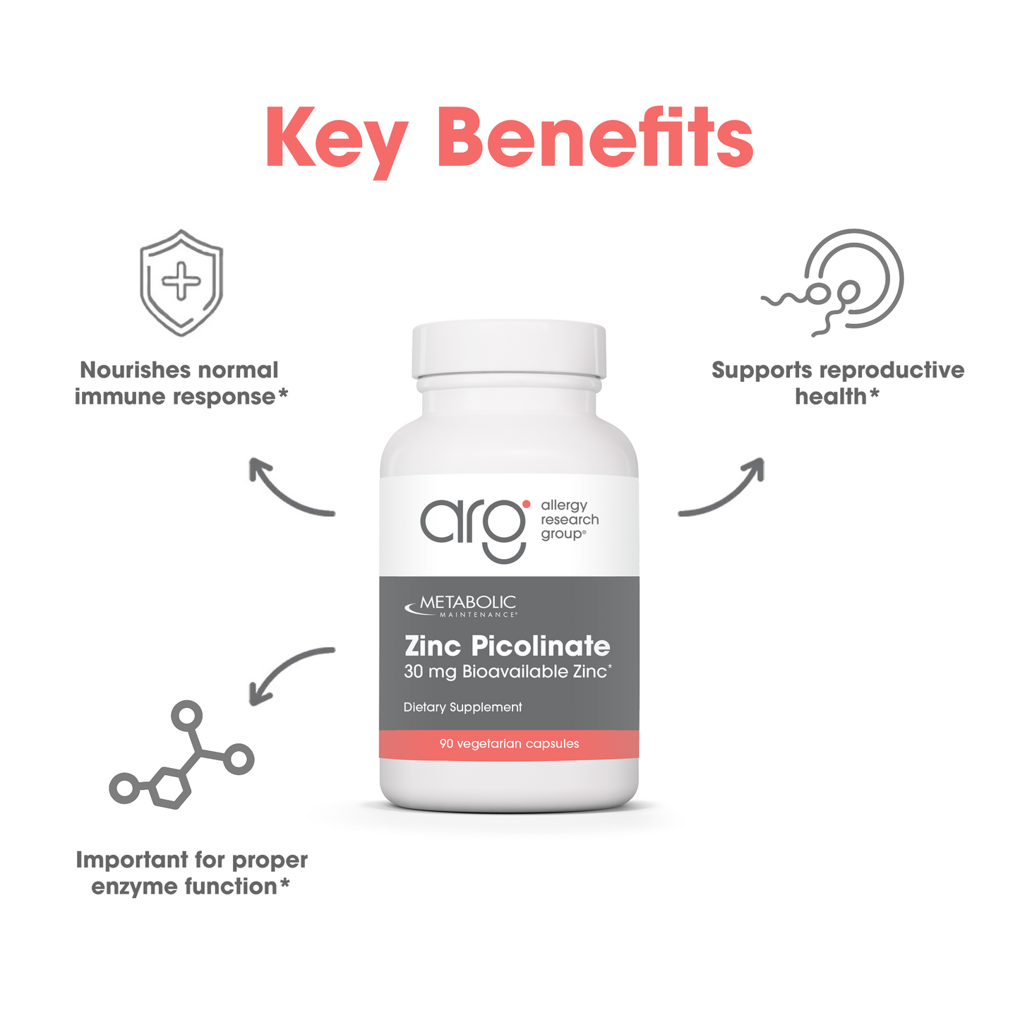 Suggested Use graphic featuring zinc picolinate bottle against a light background with a blue curved shape